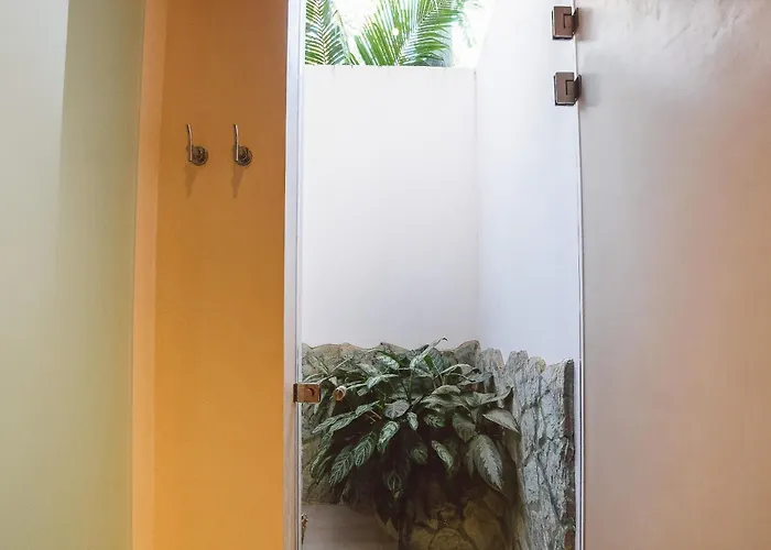 Iluminar Beachfront 4* Nosara